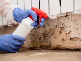 Why You Should Choose Our Mold Remediation Services in Beatrice, NE